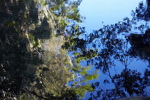 Water reflections 1
