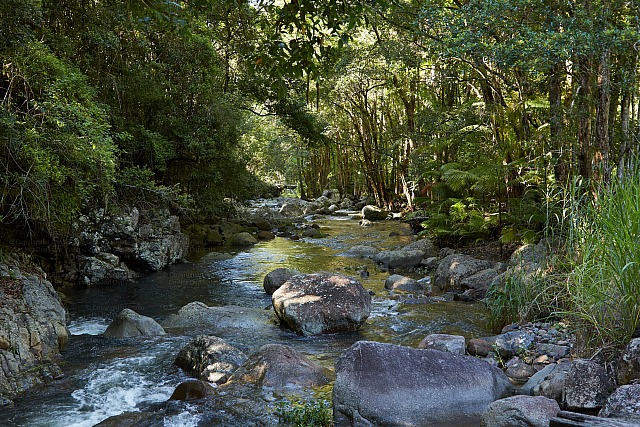 Tweed Valley Creek 2