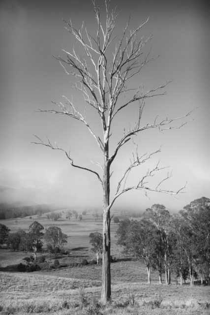 Black and white landscape photography