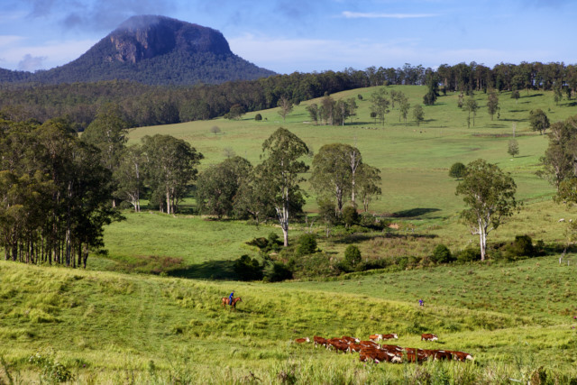 Woodenbong landscape photography