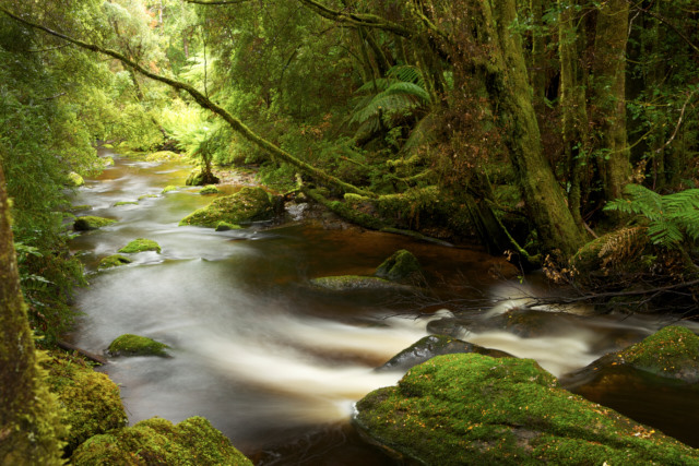 river landscape photography