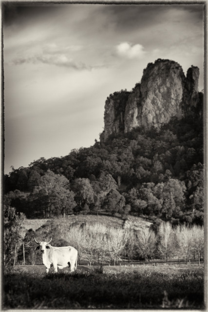 landscape photography Nimbin