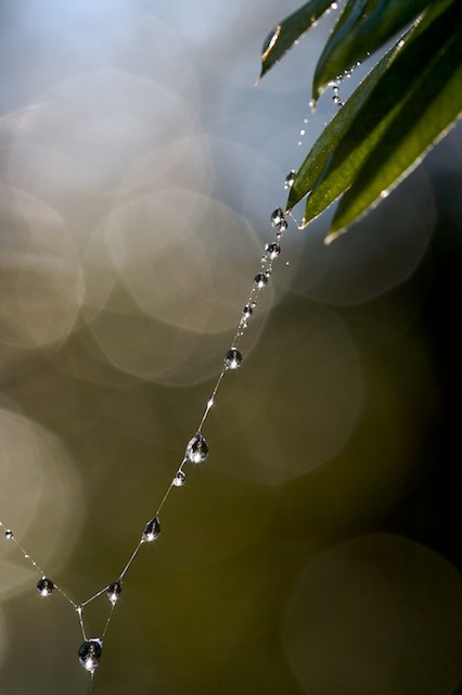 water drop photography
