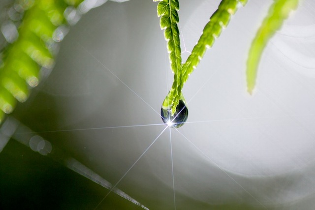 water drop photography