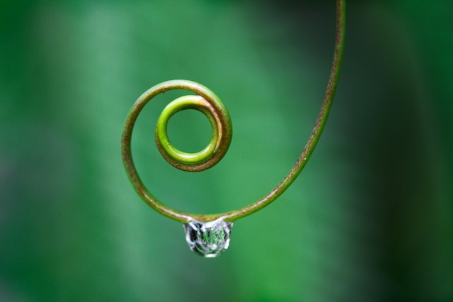 water drop photography