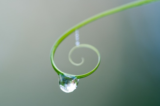 water drop photography