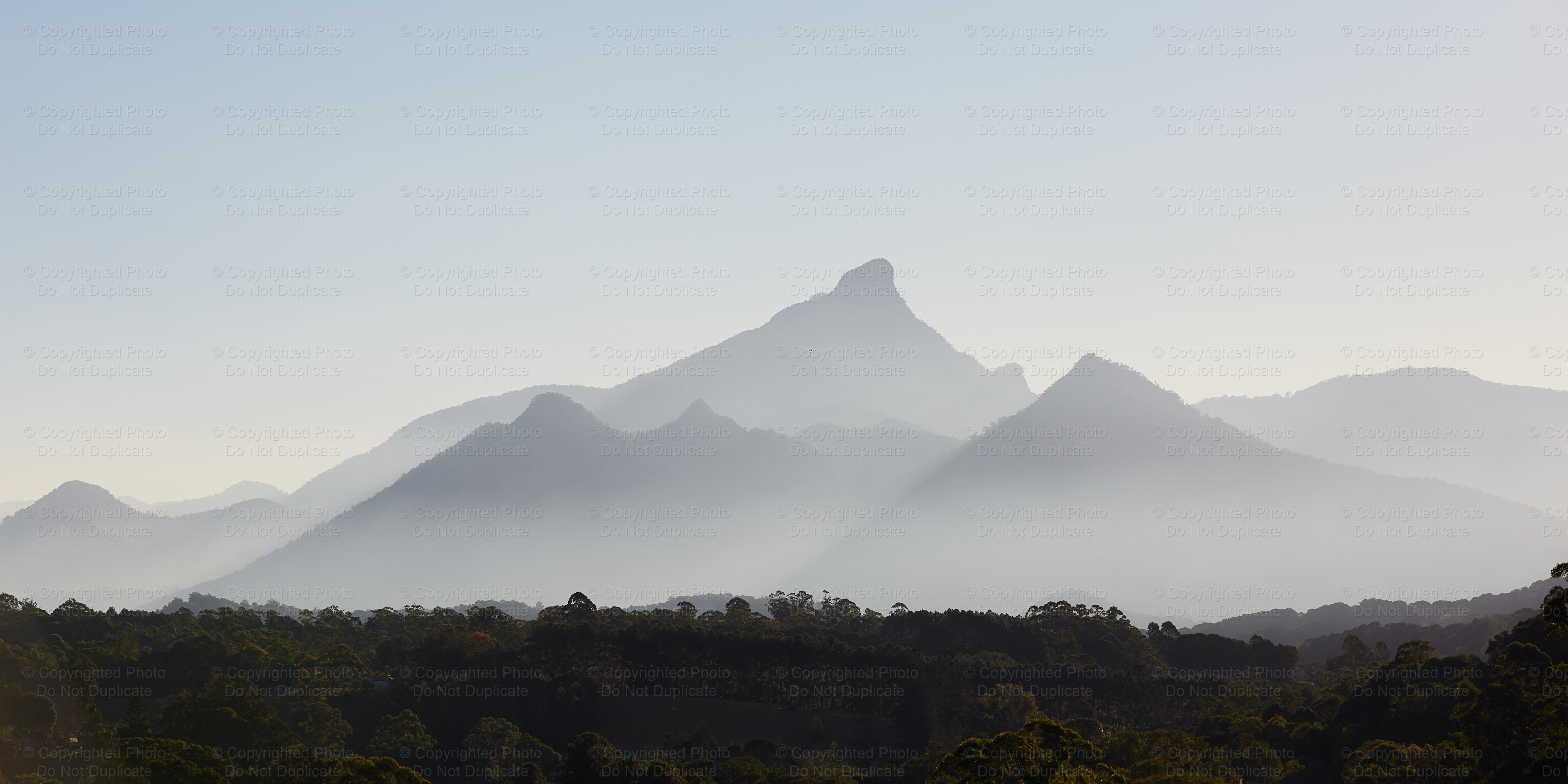 Mount Warning 1508