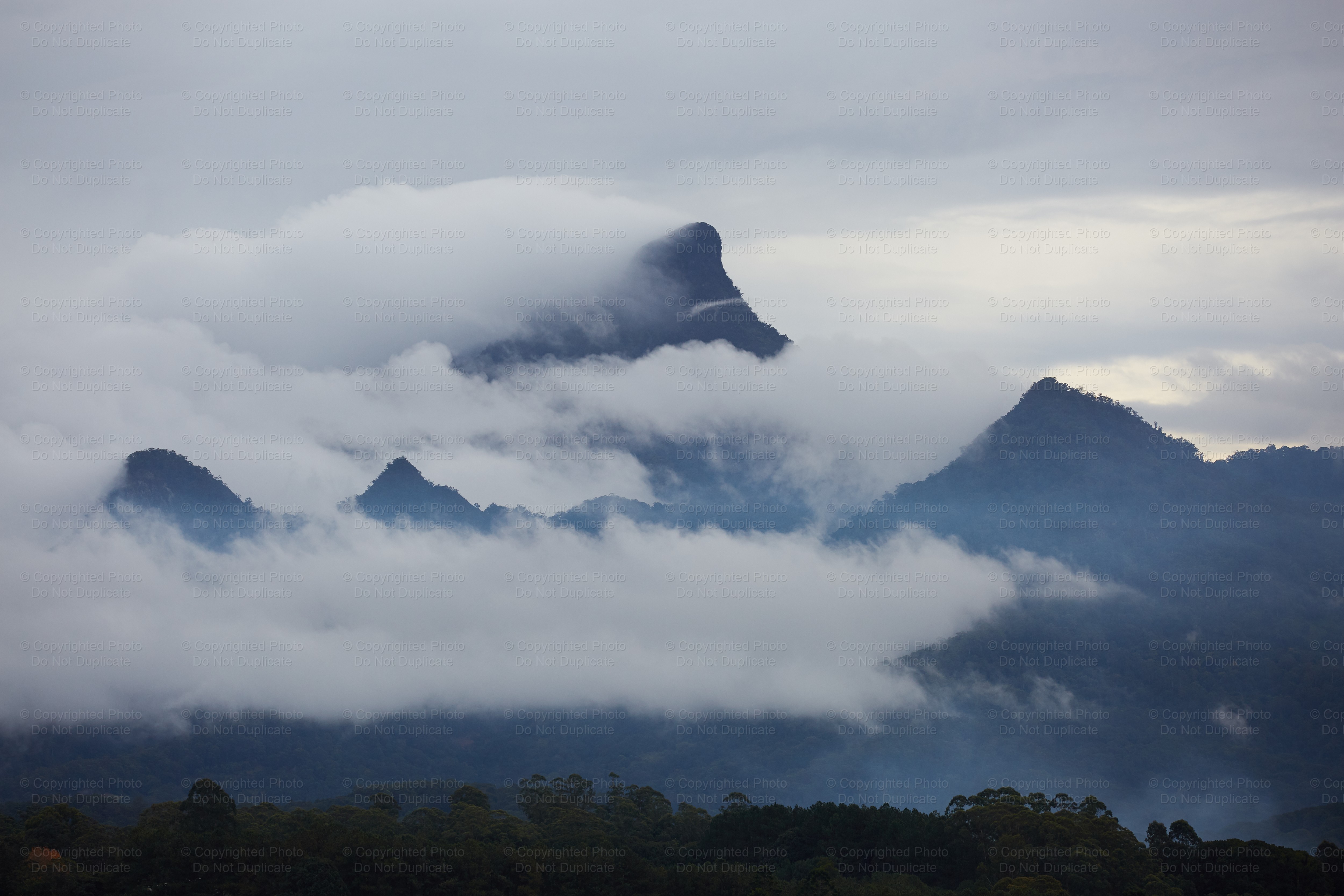 Mount Warning 1751