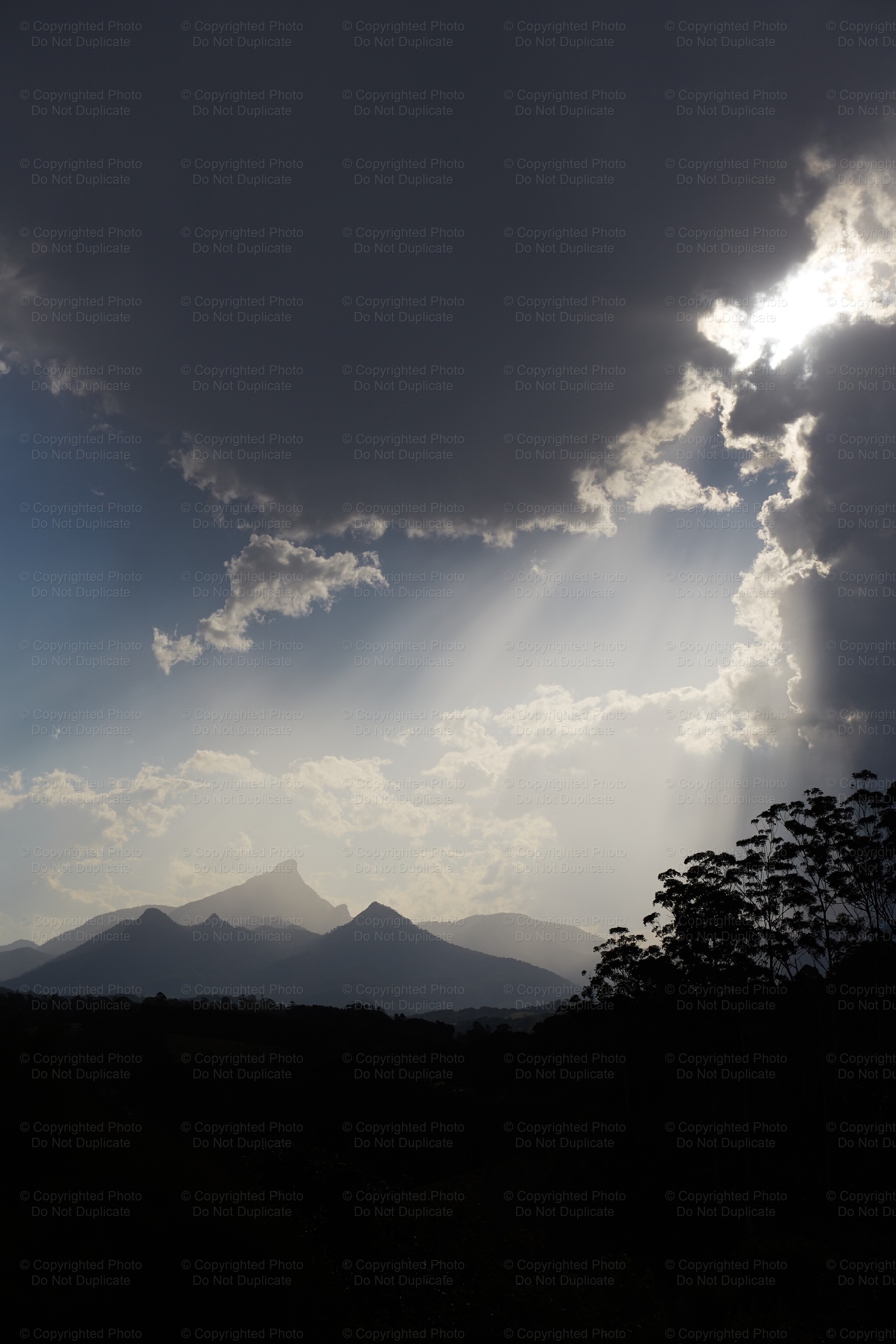 Mount Warning 2133