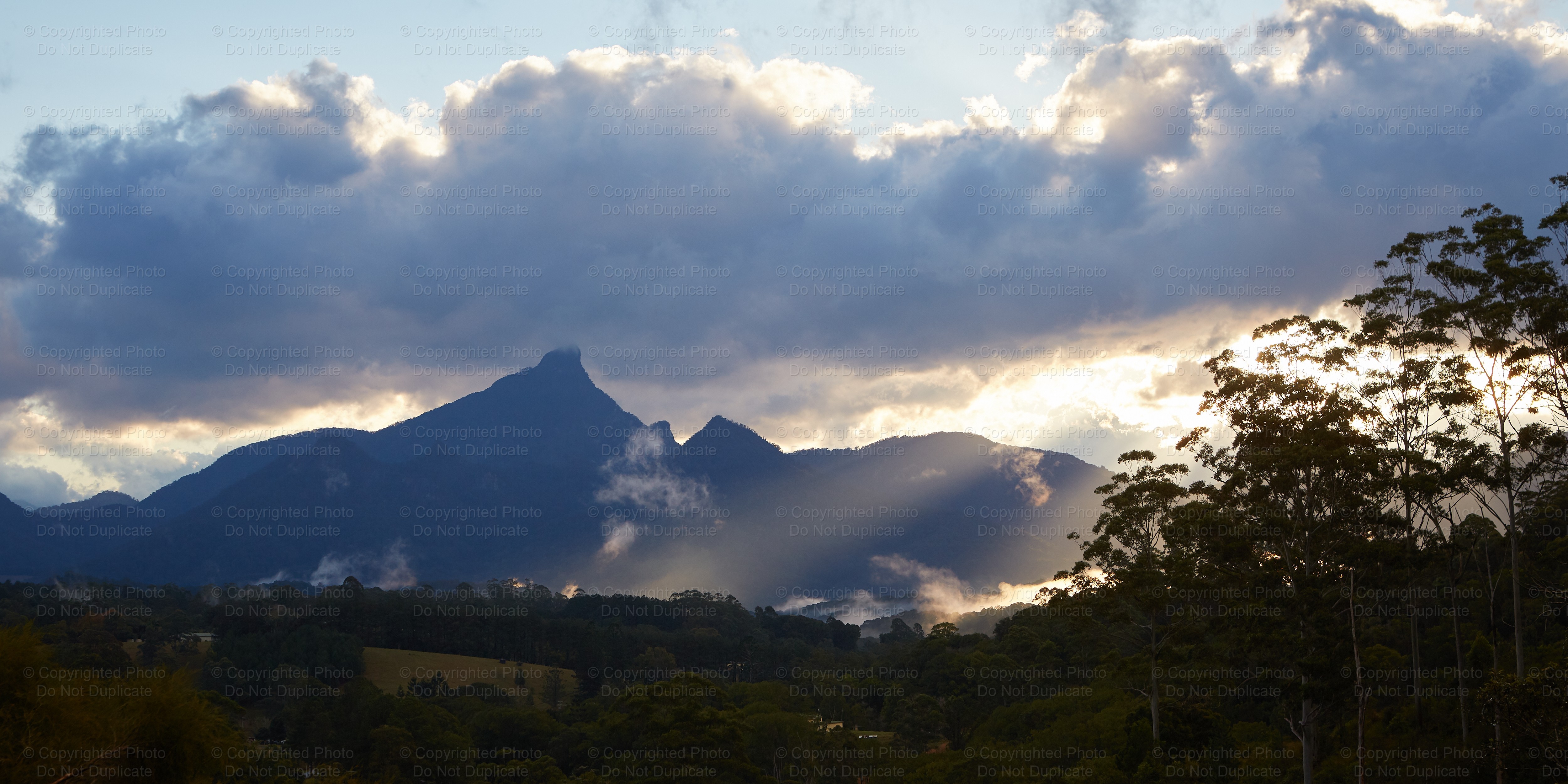 Mount Warning 1902