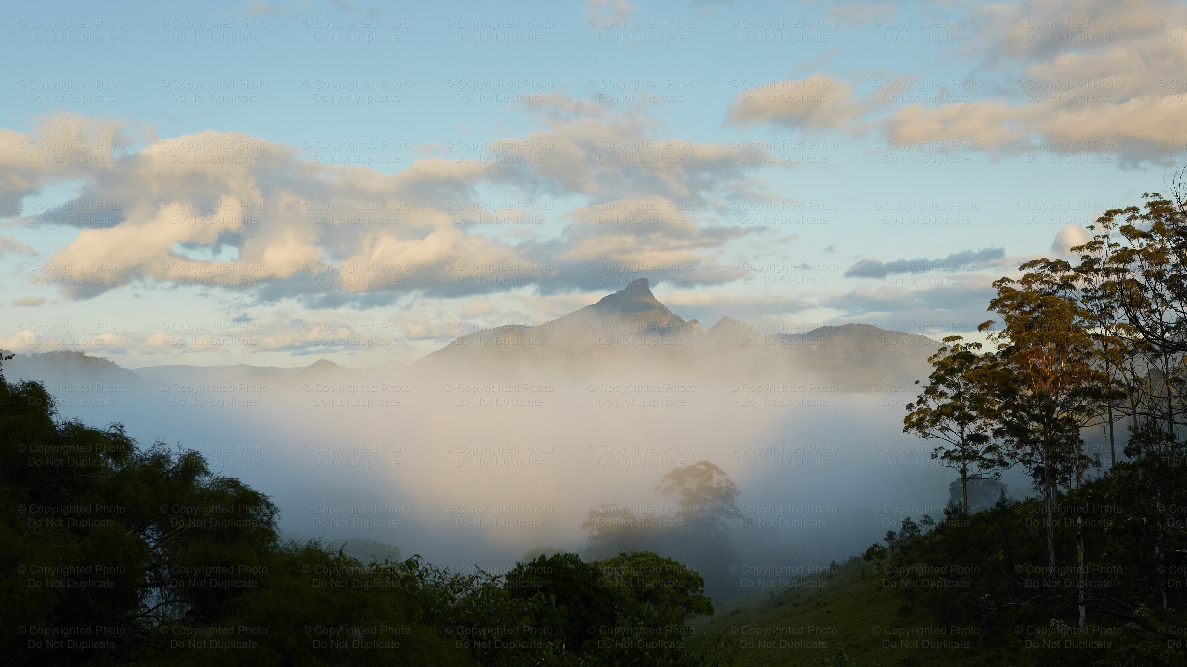 Mount Warning 5175