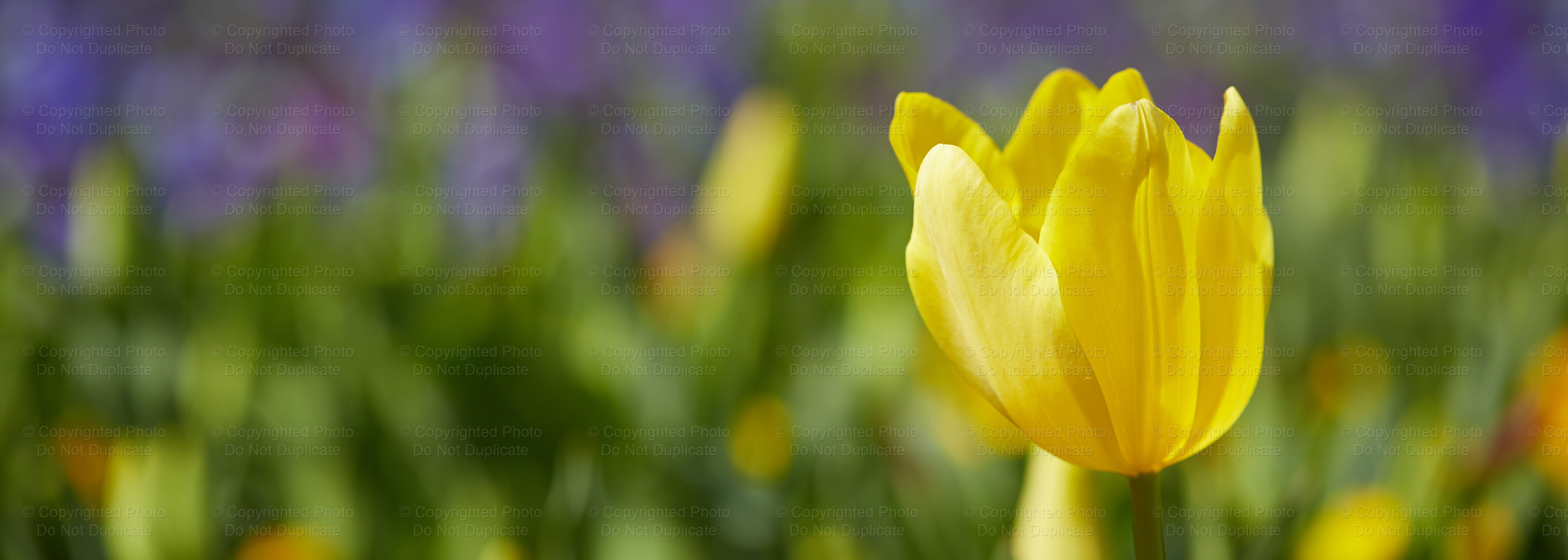 Floriade_144