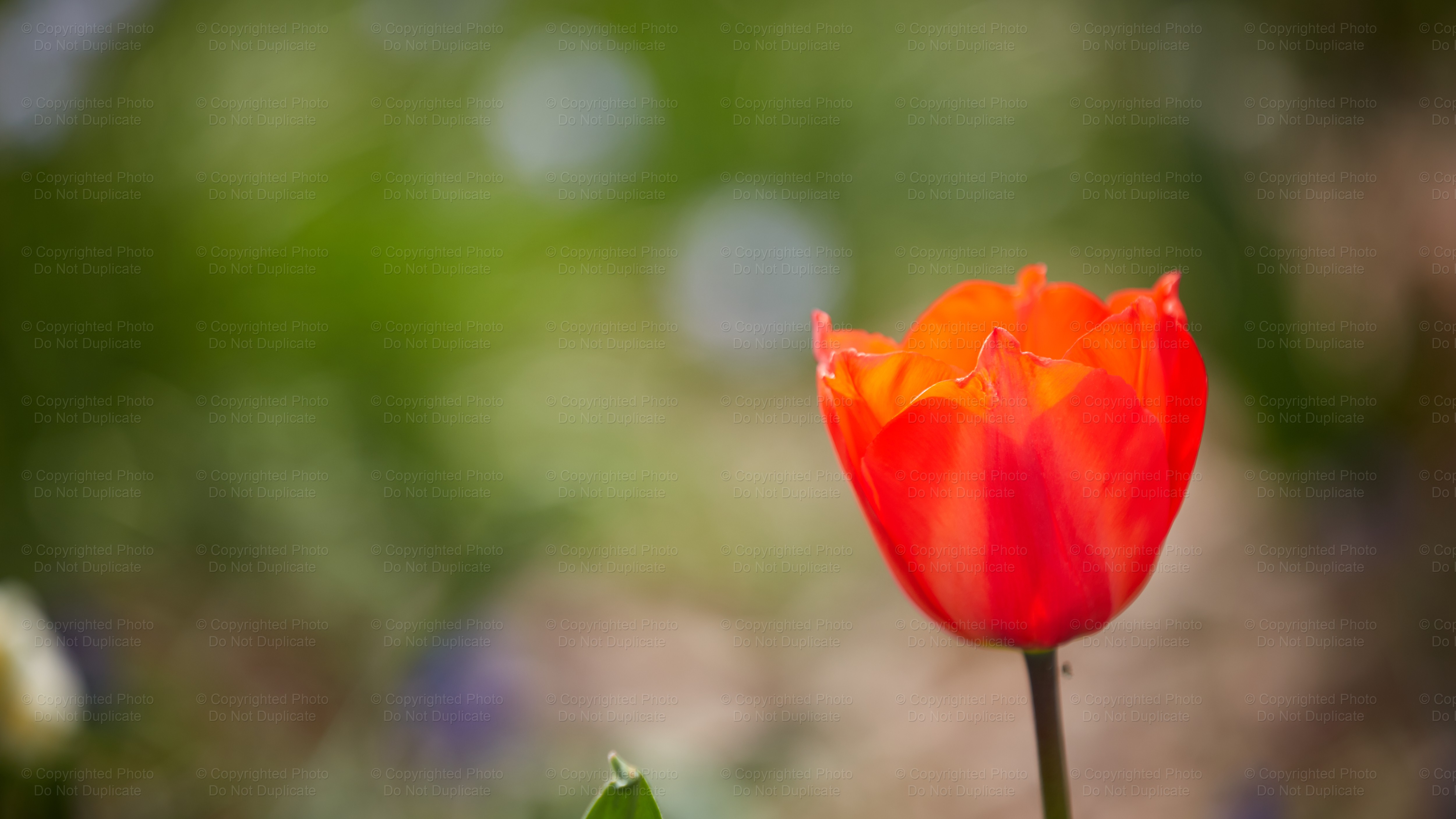 Floriade_116