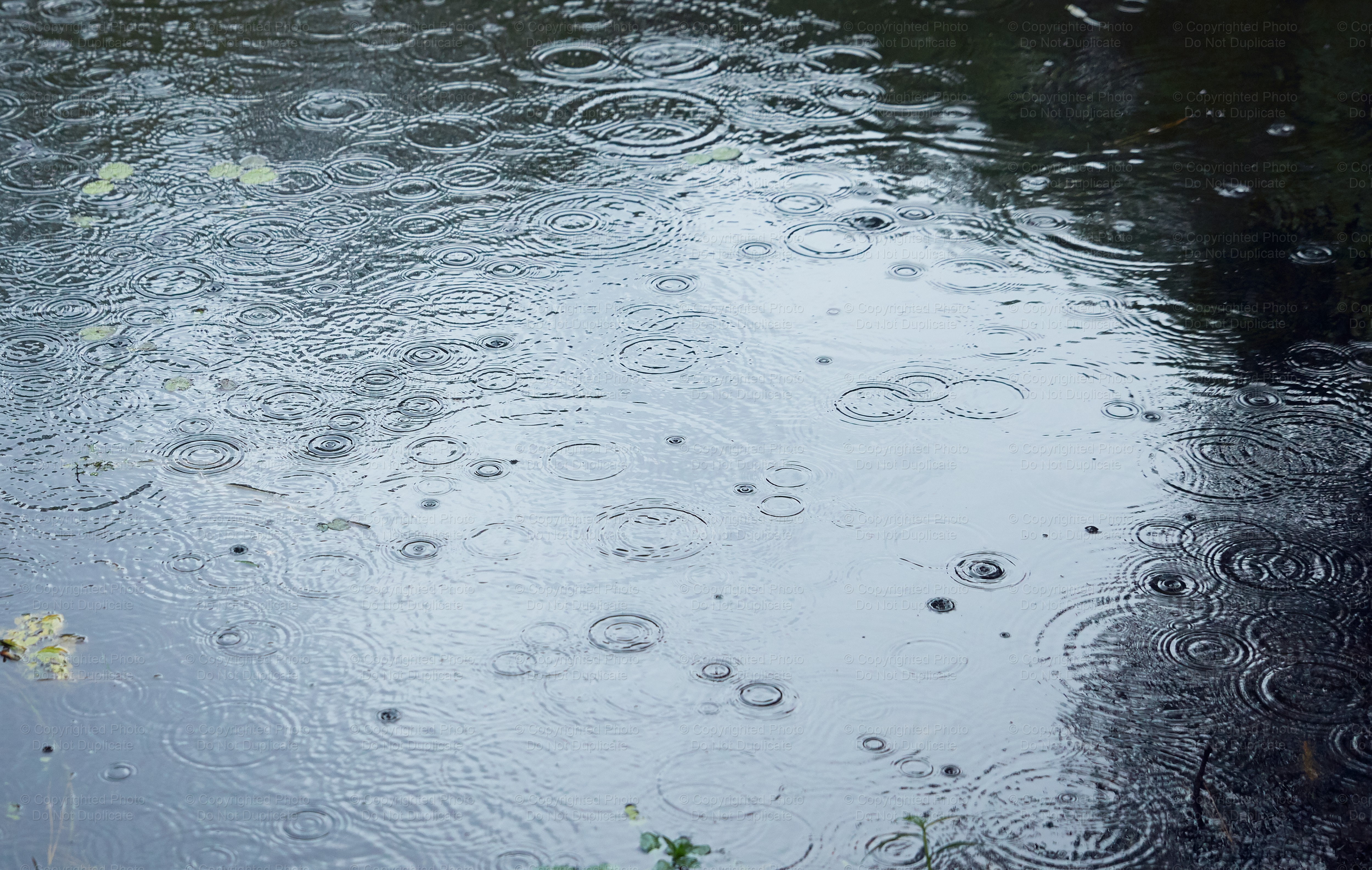 Water with raindrops 1