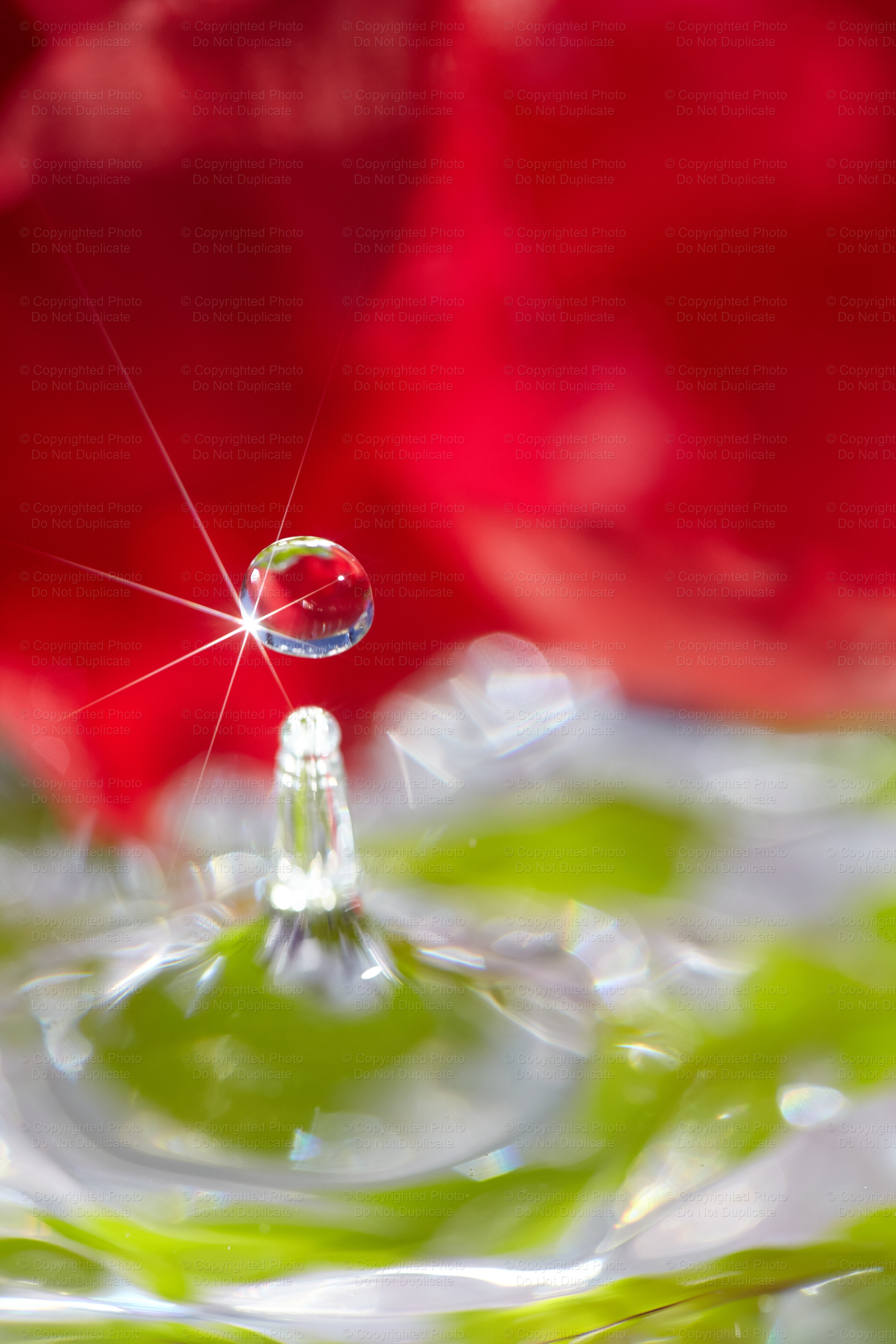 Red Floral Drop