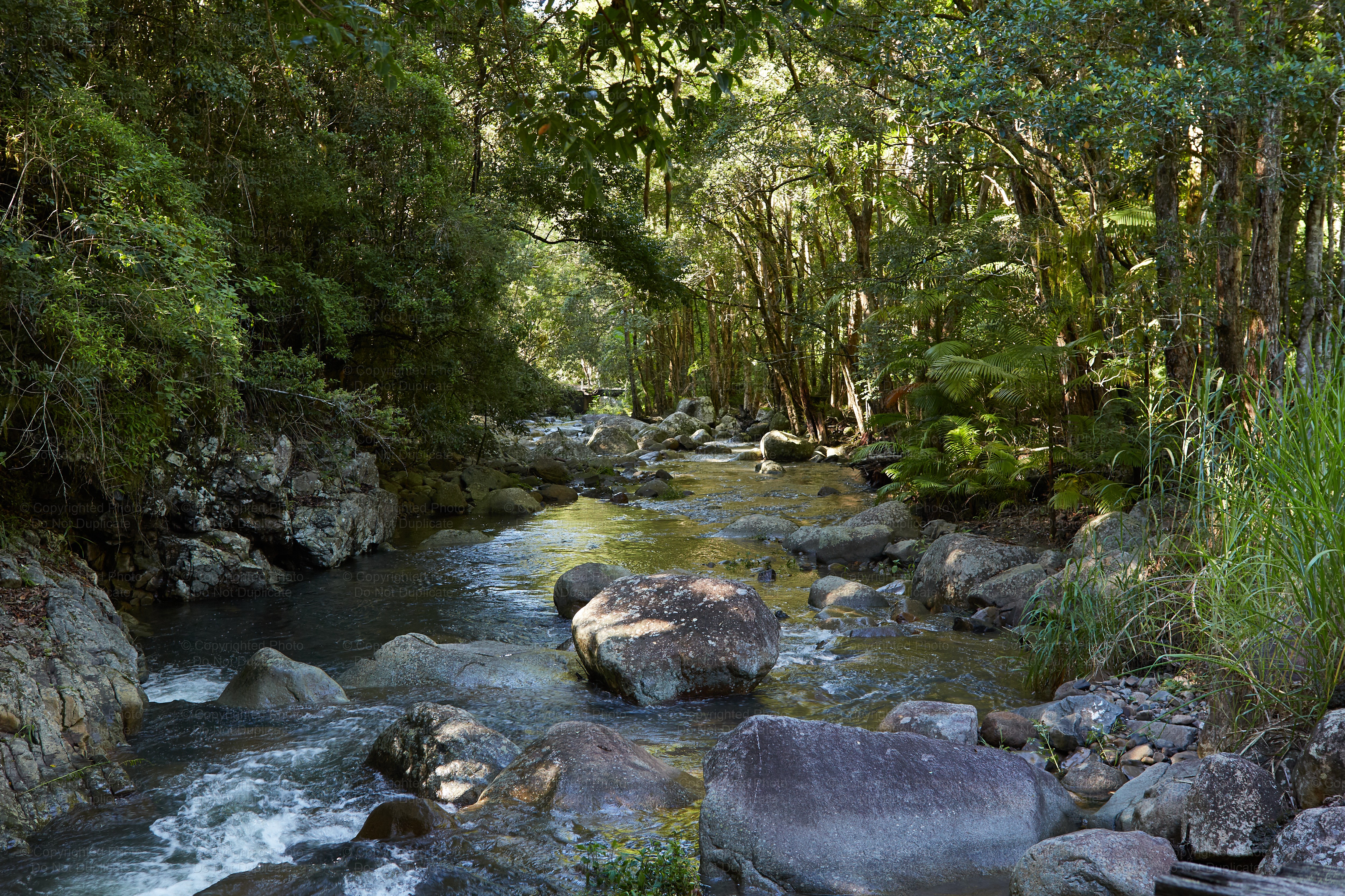Tweed Valley Creek 2