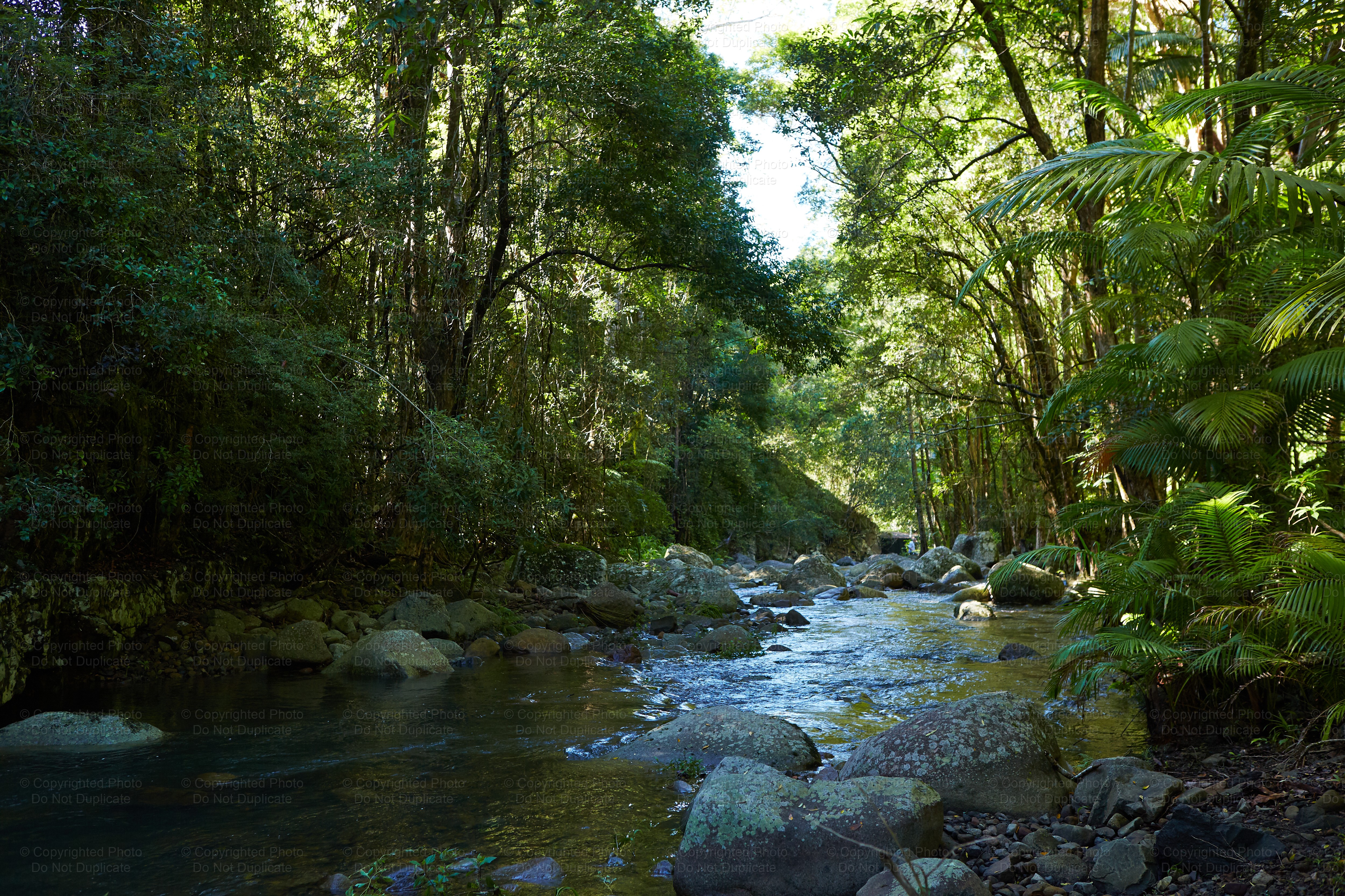 Tweed Valley Creek 1