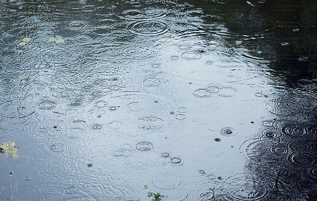 Water with raindrops 1