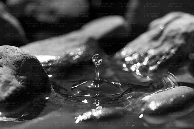 A River Begins with Just One Drop
