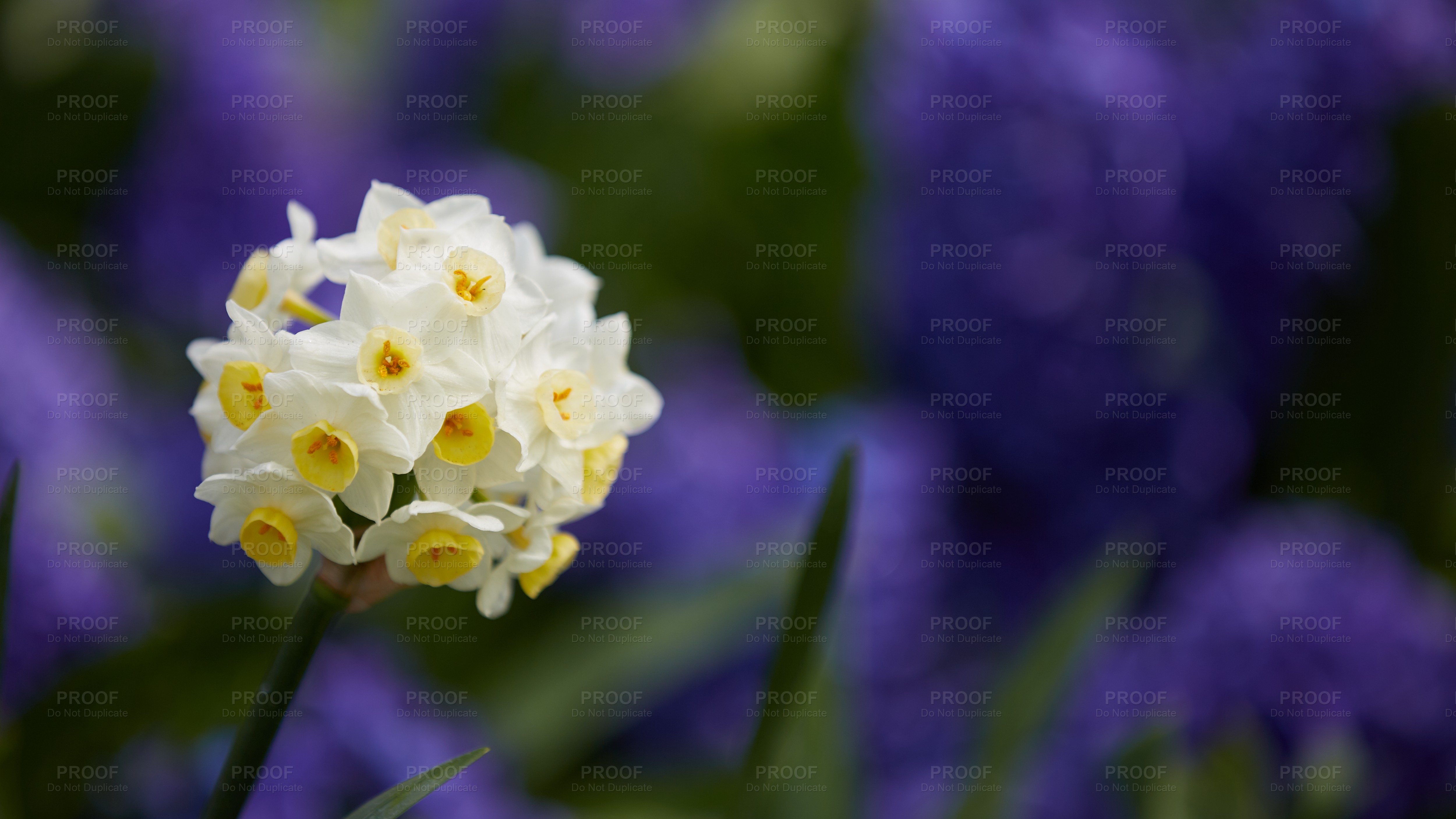 Floriade 012