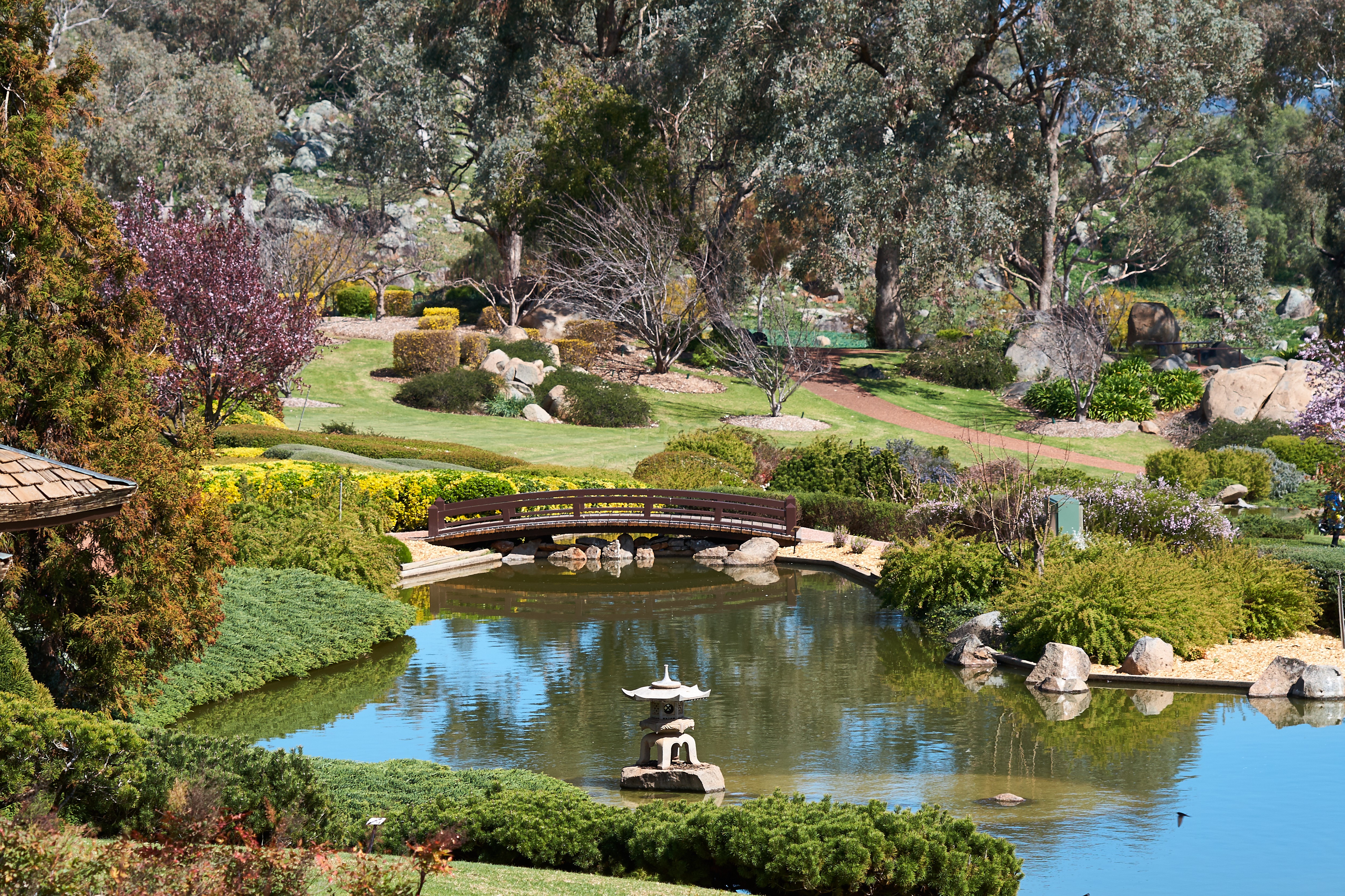 Japanese garden 0257