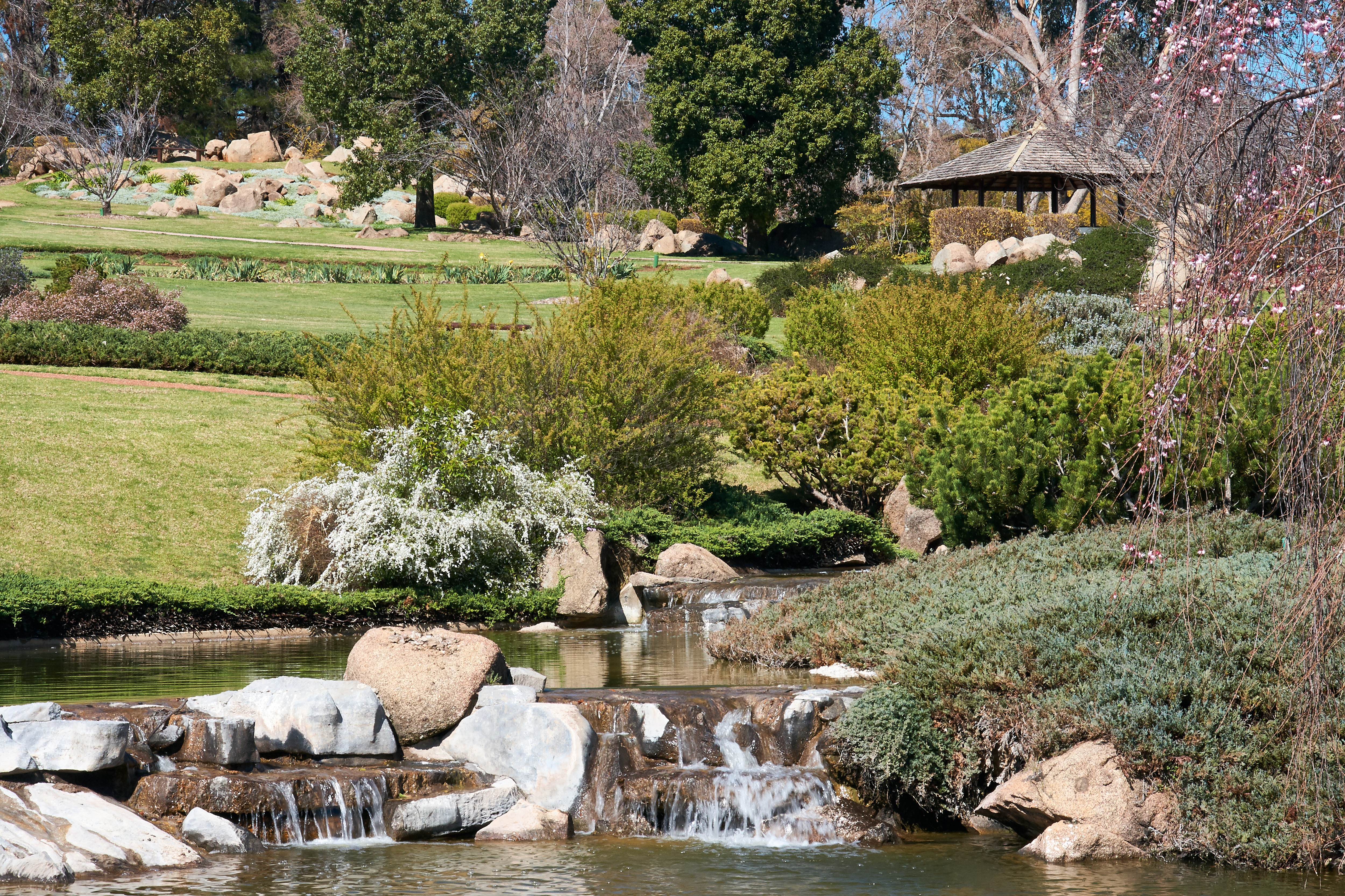 Japanese garden 4862