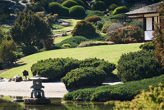 Japanese garden 0212