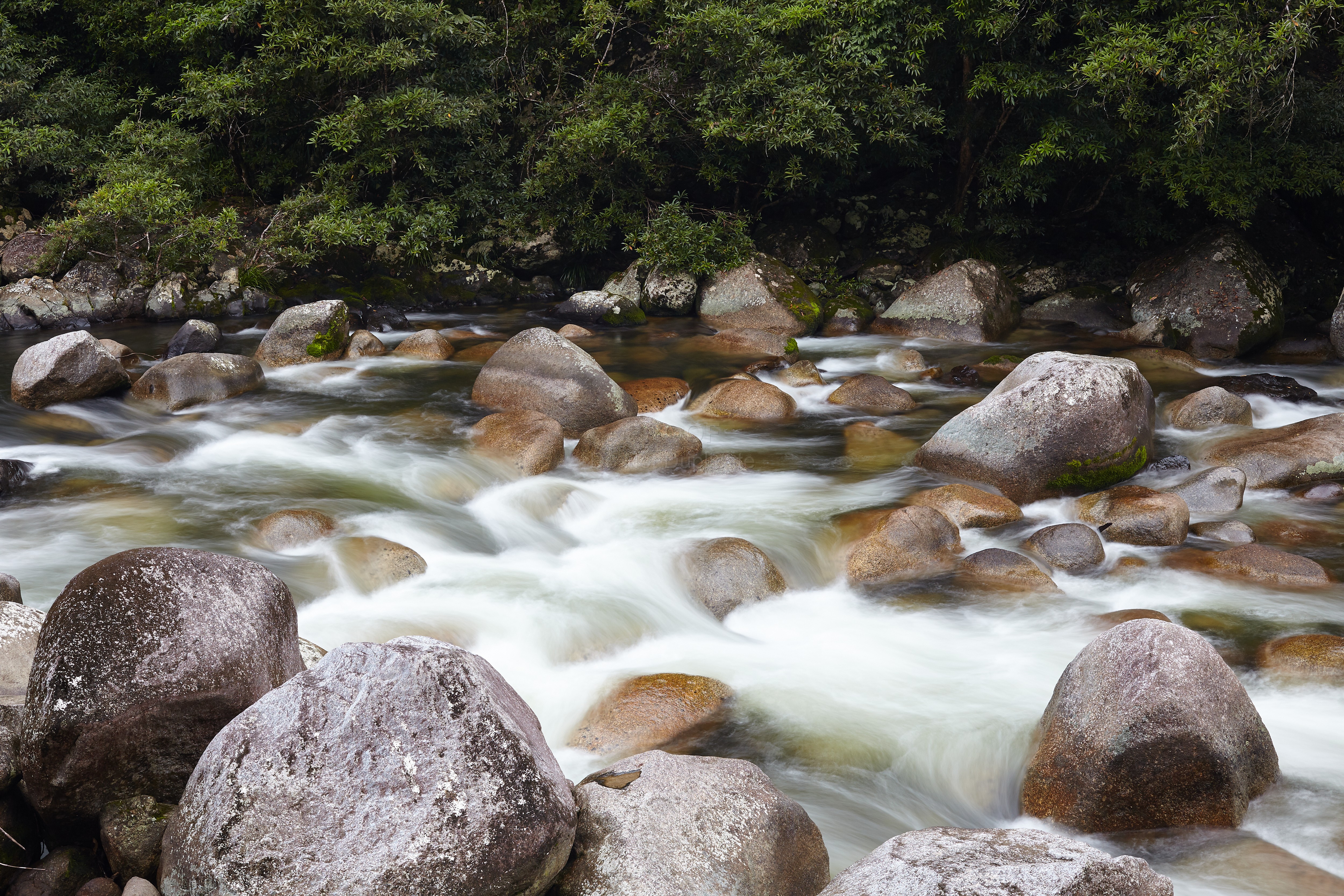 River_7331