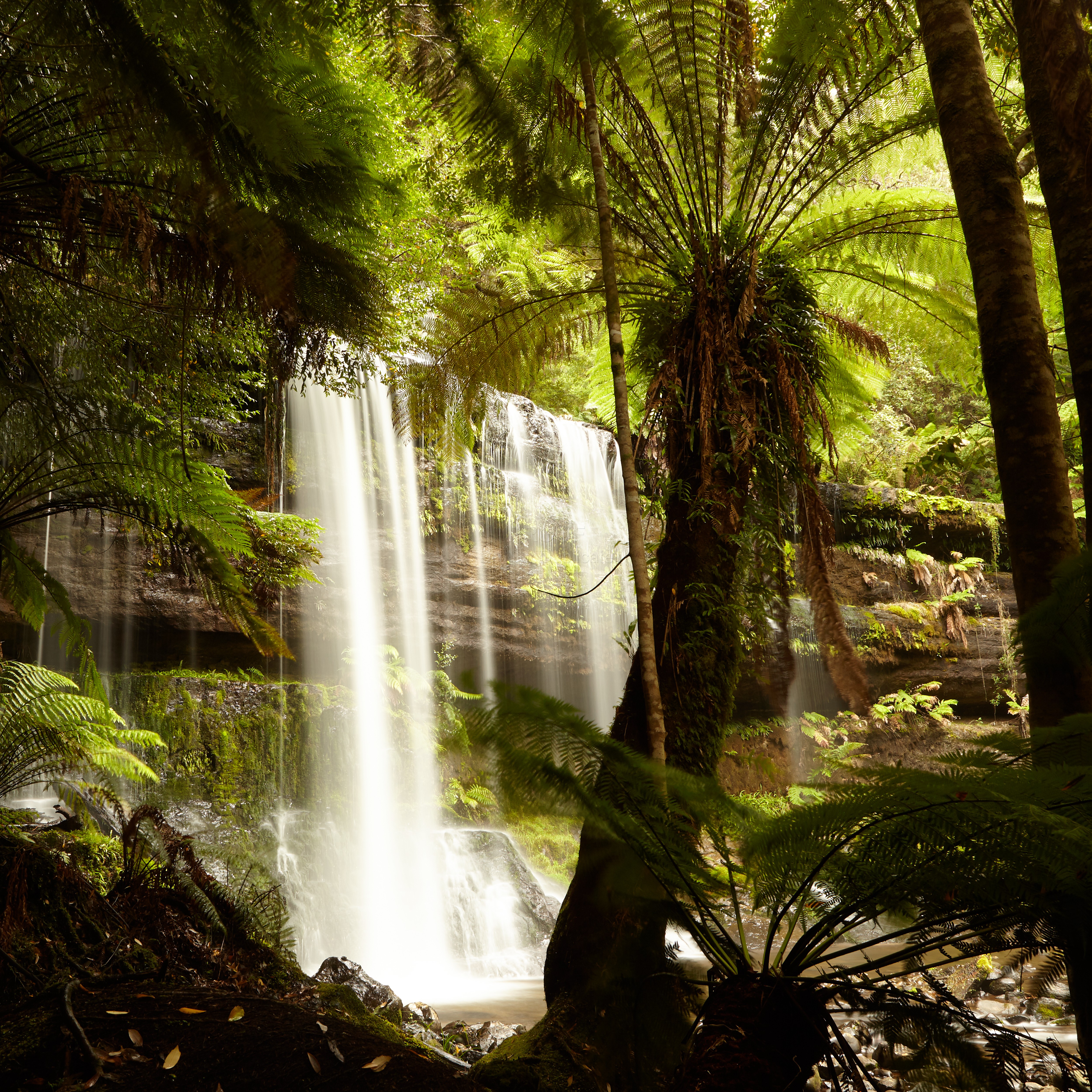 Waterfall_5240