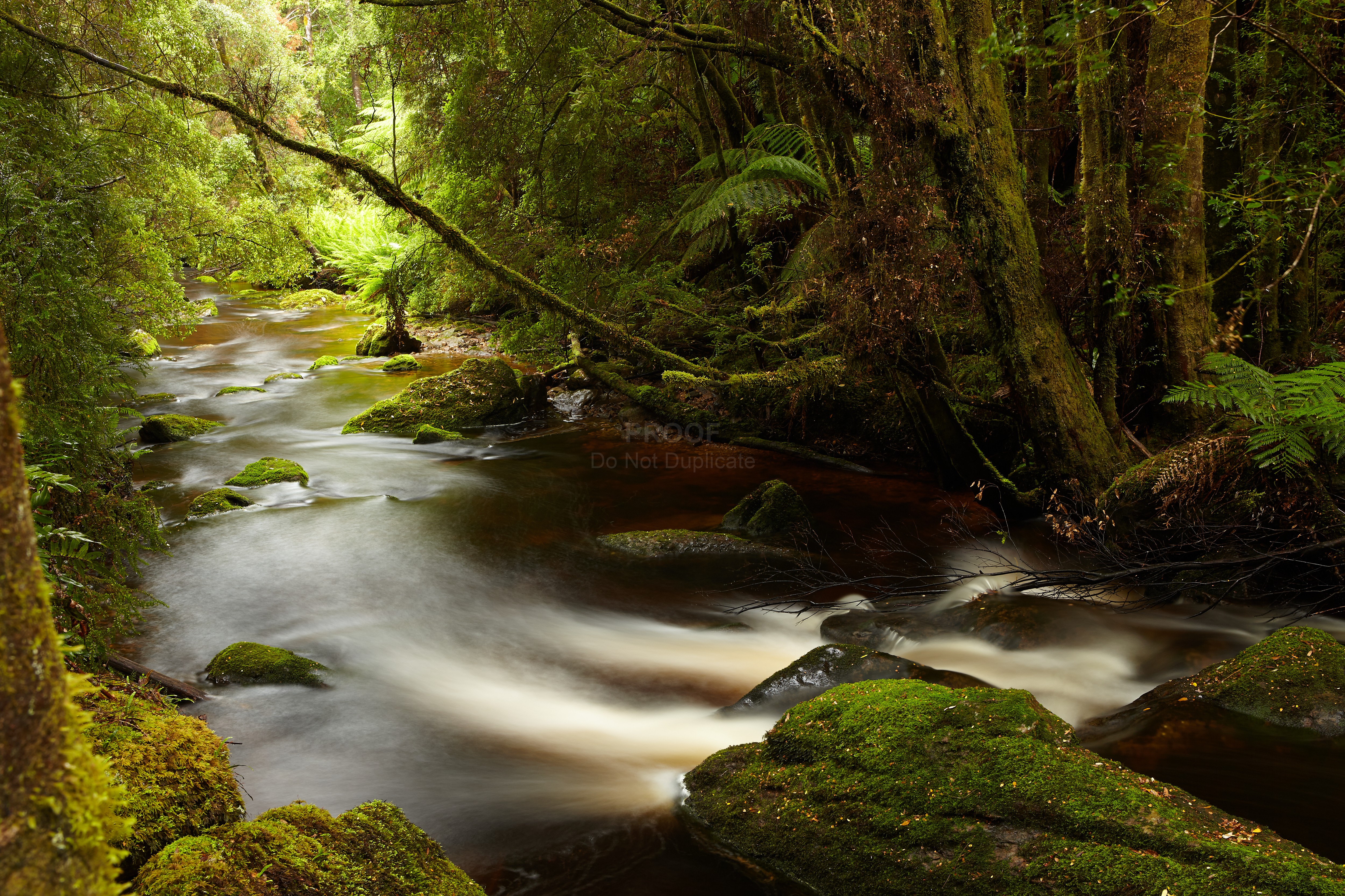 River_5432