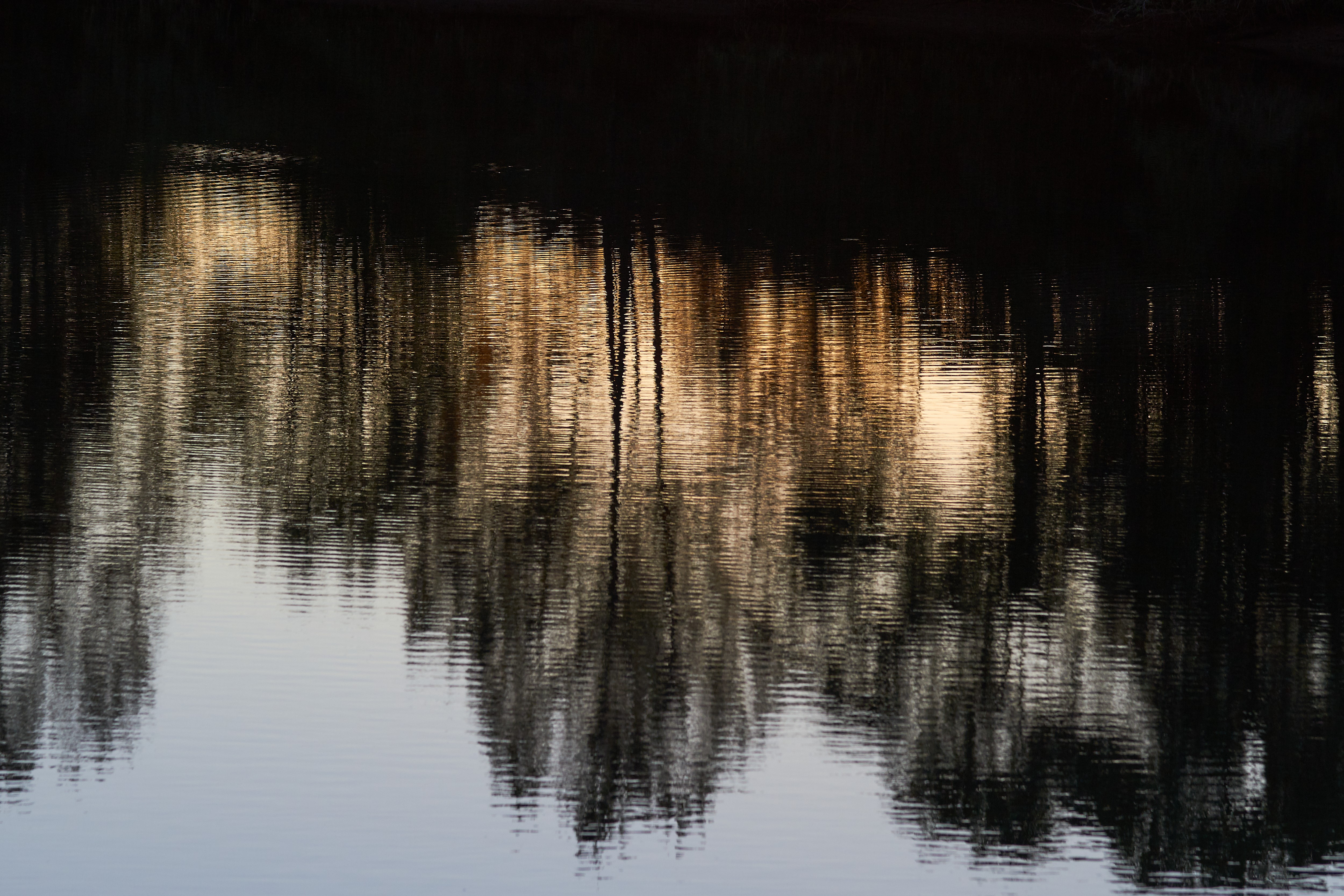 River_7202
