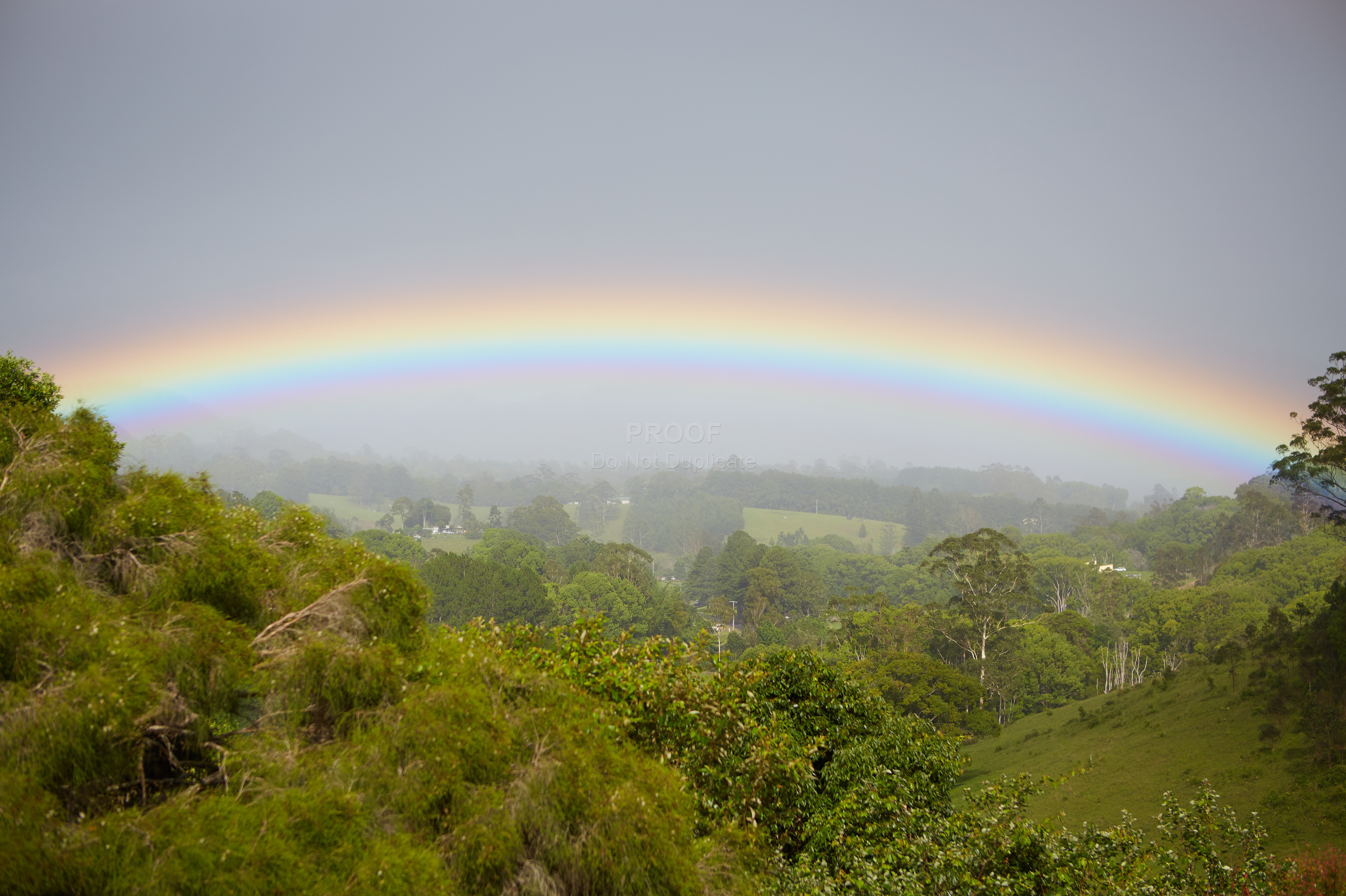 Rainbow_7853