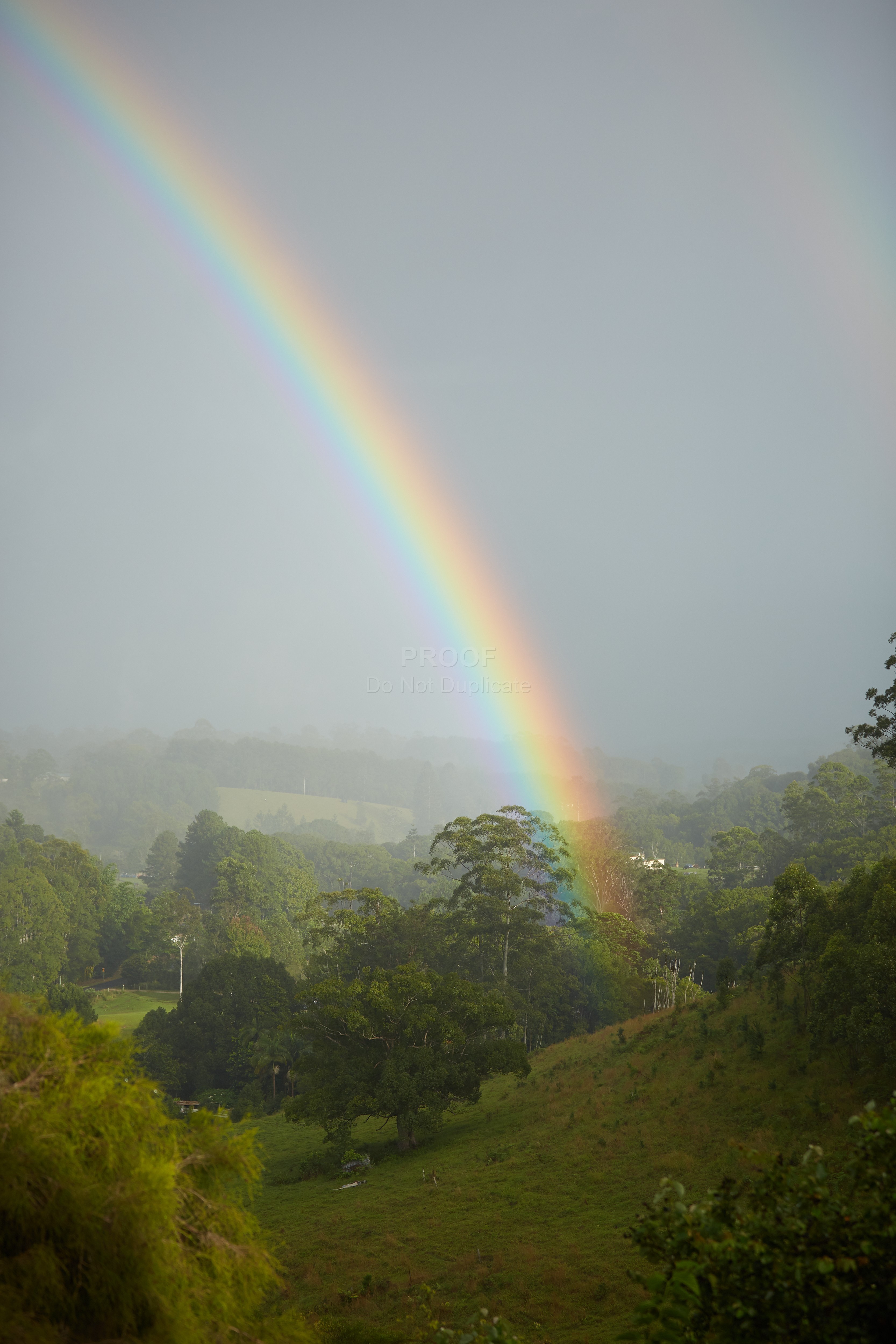 Rainbow_18109