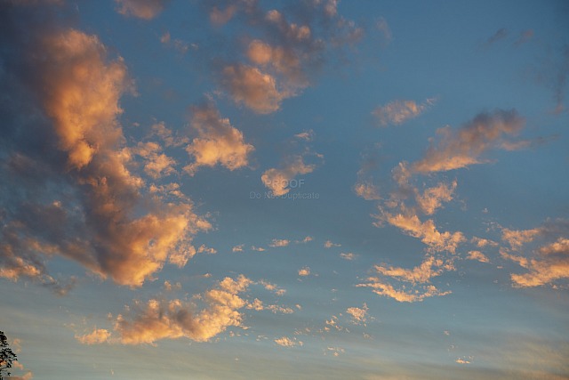 Clouds_1594