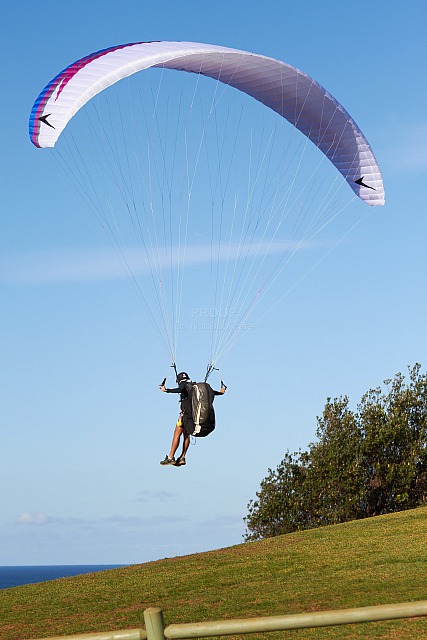 Paragliding_6281